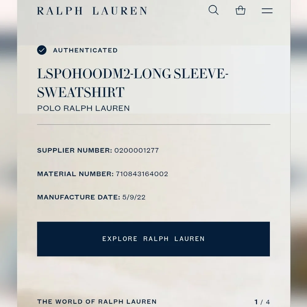 Polo by Ralph Lauren Logo Hoodie Gray Colorful 